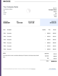 Debit Invoice