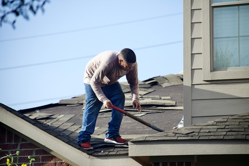 Professional handyman