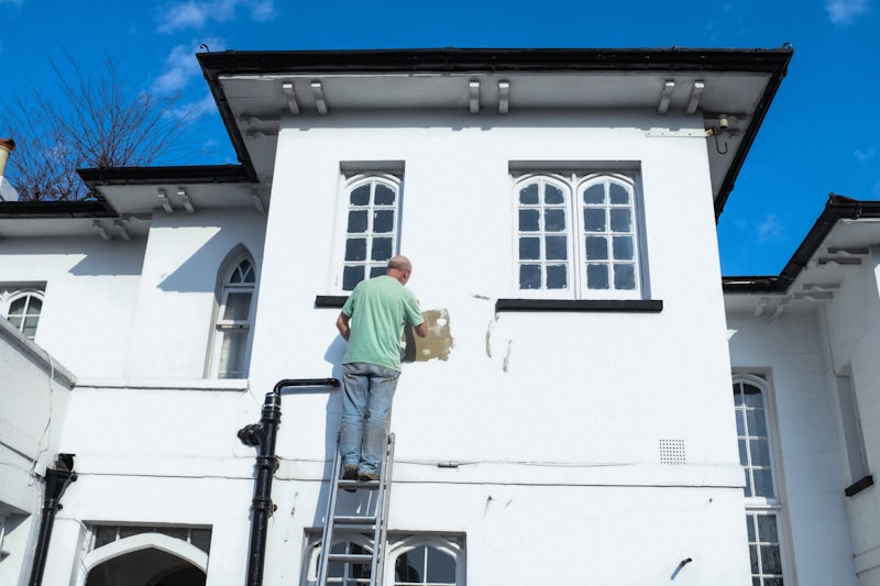 Professional painter