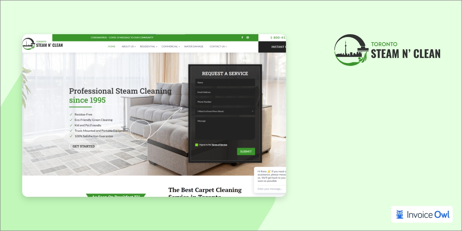 carpet cleaning website