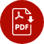 Google PDF