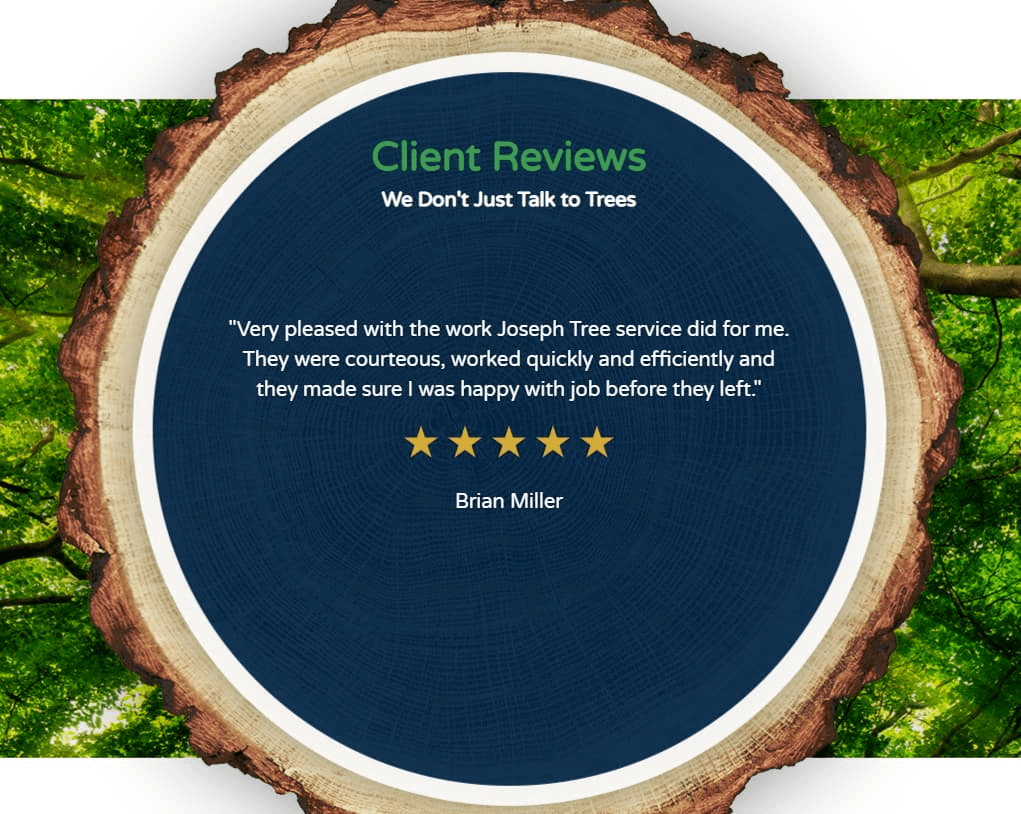 Client testimonials