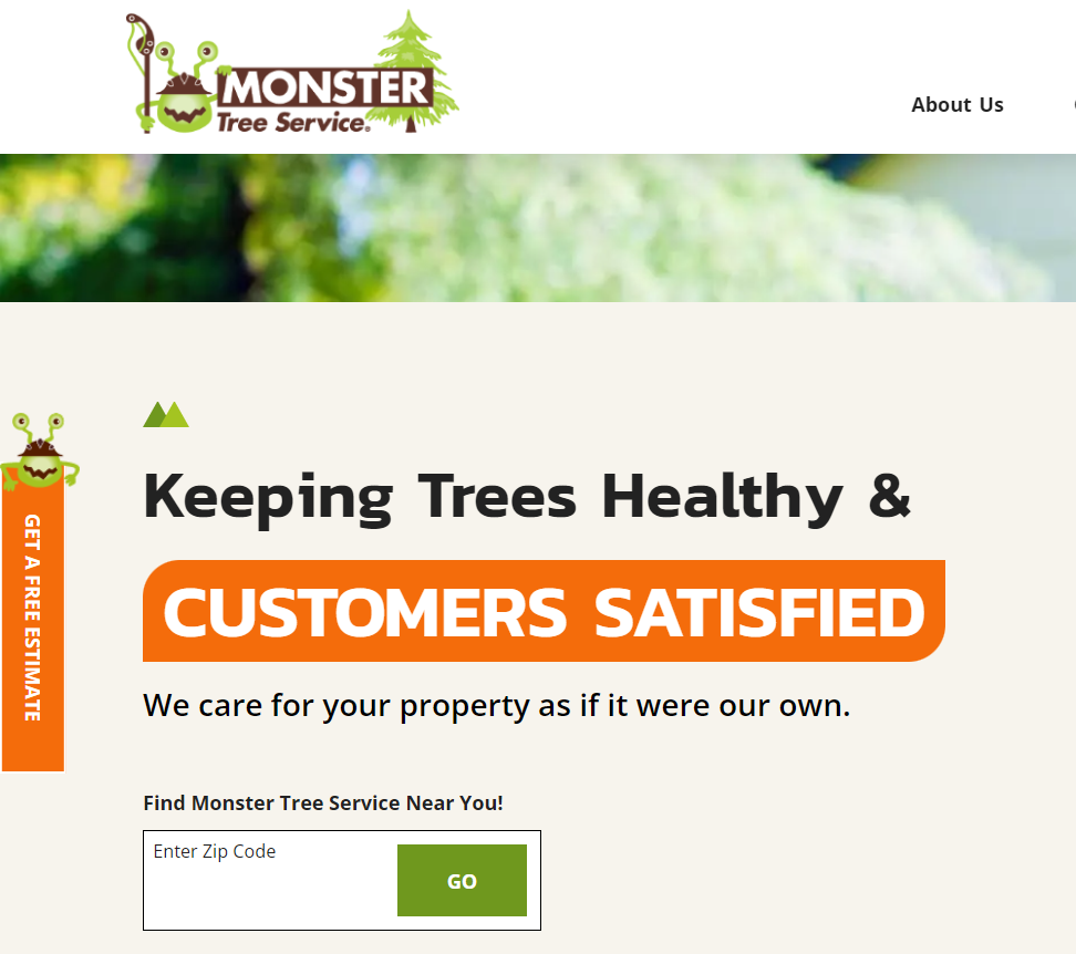 Website
